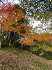 日長神社の紅葉まつり