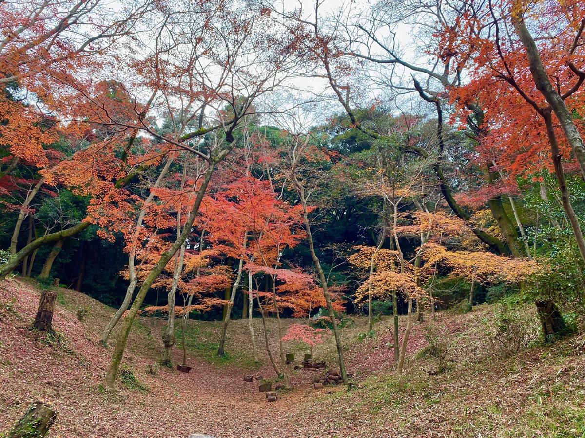 日長神社の紅葉